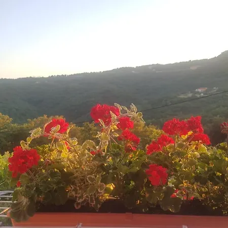 Smolici 17688a * Labin (Istria)